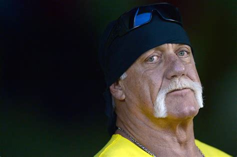 Details Of Hulk Hogans Alleged Racist Rant Revealed By National