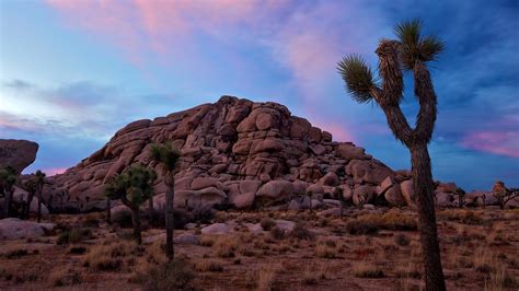 Joshua Tree National Park Wallpapers Hd For Desktop