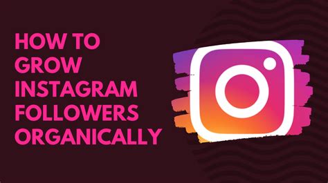 How To Grow Instagram Followers Organically Pavani Naidu