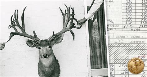 The Stories Behind The Worlds Biggest Mule Deer Boone And Crockett Club
