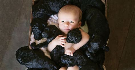 Human And Her Dog Had Babies On The Same Day So They Did An Adorable