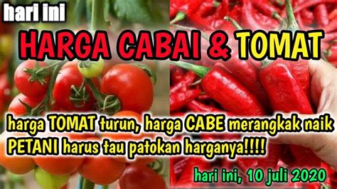 Penurunan harga karet ini terjadi di beberapa daerah di indonesia. Harga cabe hari ini 10 Juli 2020 | info harga tomat dan ...