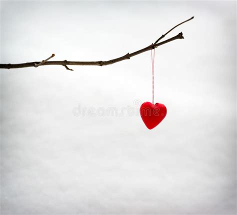 Single Heart Hanging On A Tree Branch In Winter Stock