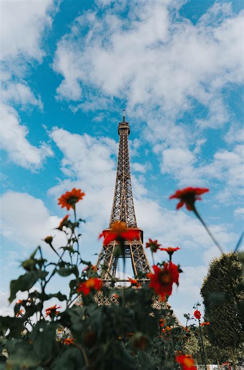 Hd Wallpaper Tilt Shift Photography Of Red Flowers And Eiffel Tower