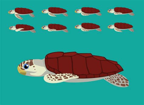 210 Loggerhead Turtles Stock Illustrations Royalty Free Vector