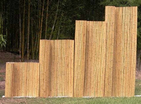 Bamboo Australia Bamboo Fences And Screens