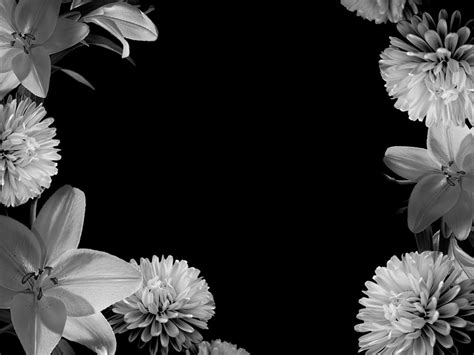 75 Pretty Black And White Backgrounds On Wallpapersafari