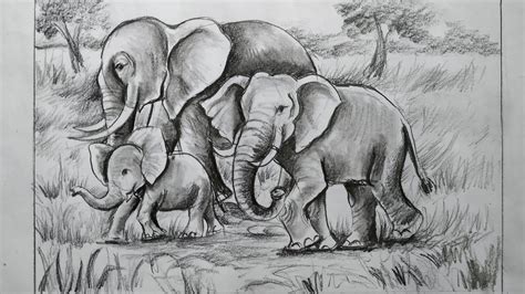 How To Draw Elephant Step By Stepelephant Drawing With Pencilforest