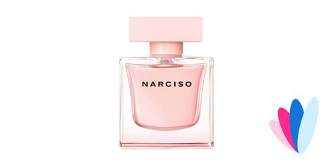 Narciso Von Narciso Rodriguez Eau De Parfum Cristal Meinungen