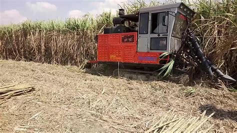 Whole Stalk Tractor Sugar Cane Harvester For Sale Sugarcane Harvester Price In India Buy