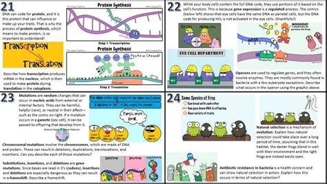 For the following illustration, determine where you could label the following terms: Amoeba Sisters Video Recap Alleles And Genes Answer Key Pdf + My PDF Collection 2021