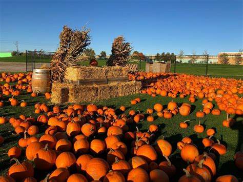 Toronto Pumpkinfest Returns This Thanksgiving Weekend With Fall Fun