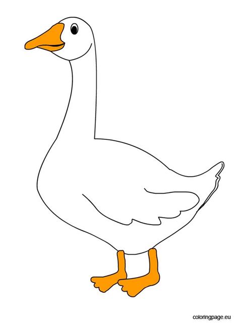 Explore our vast collection of coloring pages. Goose clipart - Coloring Page