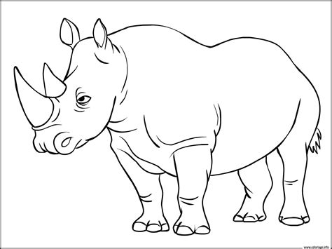 Coloriage Rhinoceros Mammiferes Appartenant A La Famille Des