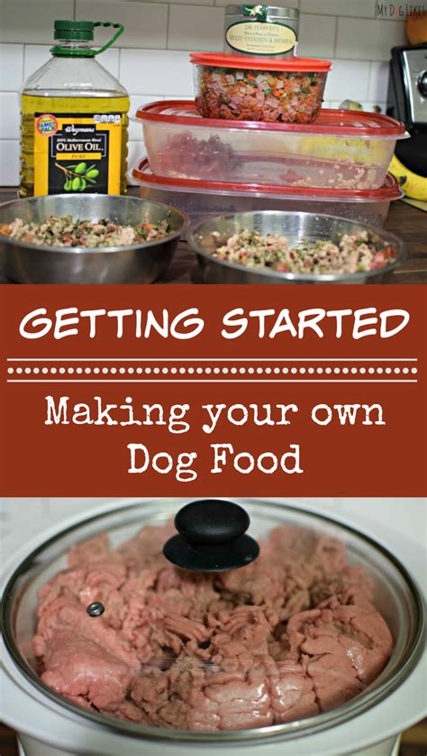 Maybe you would like to learn more about one of these? Easy Homemade Dog Food with Dr. Harvey's Veg-to-Bowl | Dog ...