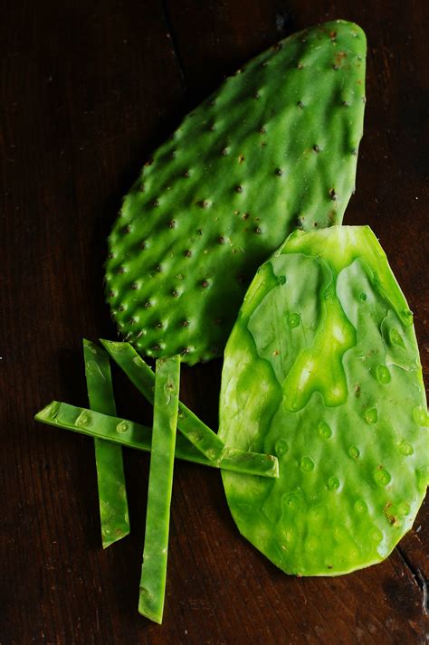 Although this is a typical schedule that you can follow, getting to know your cactus's habits. Nopales cactus salad - Norbert's Kitchen