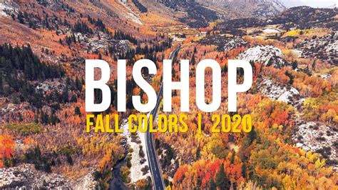 Took A Little Break To Enjoy The Fall Foliage In Bishop California