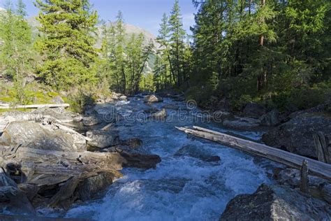 Shawla River Altai Mountains Siberia Russia Stock Photo Image Of