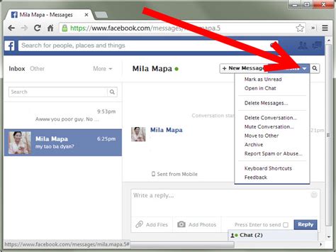 How To Check Your Message Inbox On Facebook 5 Steps