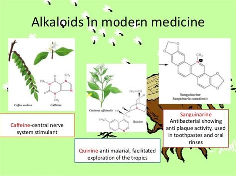 Chemistry Of Alkaloid