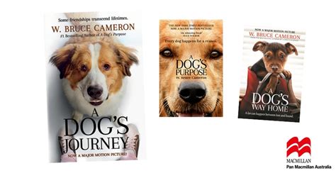 Item 7 dog's journey by w. A Dog's Journey Book Pack Giveaway - K-Zone