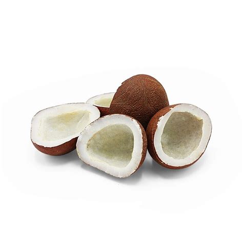 Dry Coconut Maa Tara Fruits Company
