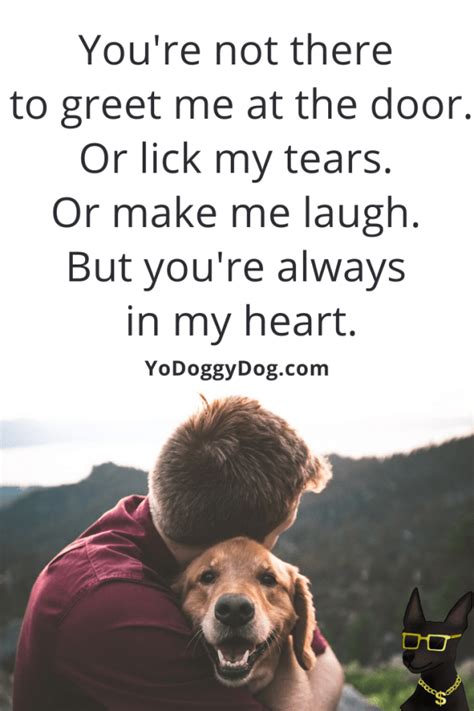 30 Quotes For Dog Loss To Help You Through A Dog Death