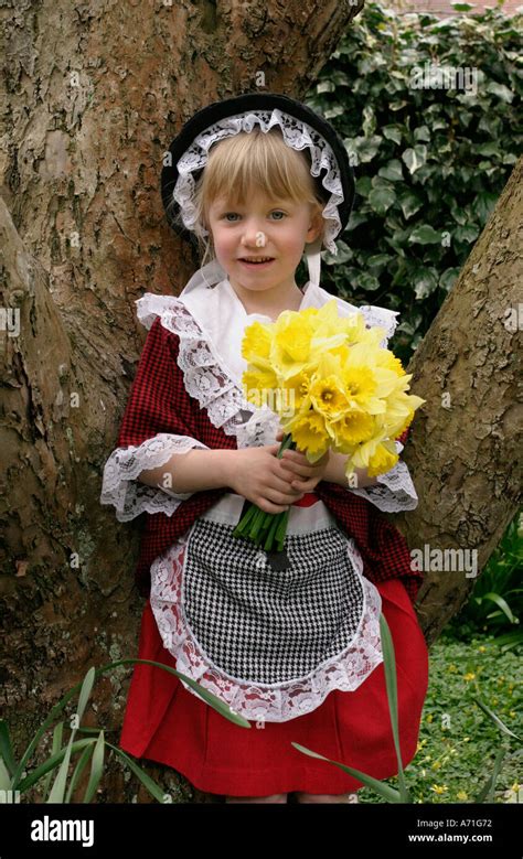 Girl In Welsh National Costume Holding Daffodils Welsh Culture Stock