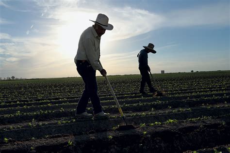 Workers