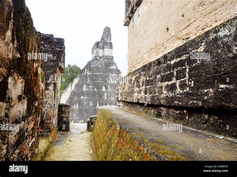 Las ruinas mayas de Tikal Guatemala Fotografía de stock Alamy