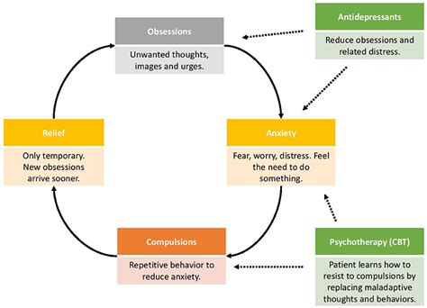 What Is Obsessive Compulsive Disorder · Frontiers For Young Minds