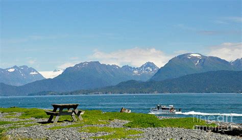 Kachemak Bay In Homer Alaska Photograph By Tatyana Searcy Pixels