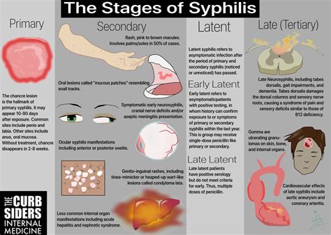 Syphilis Stages Diagram