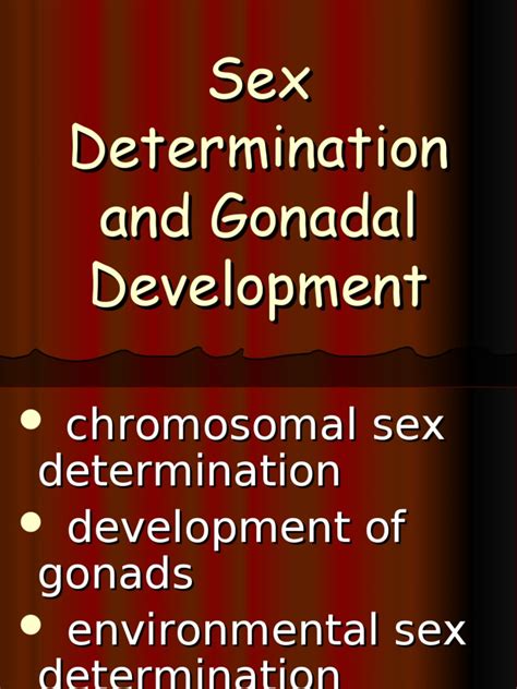 15 Sex Determination Pdf Biological Processes Developmental Biology