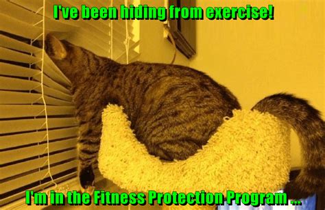 Ive Been Hiding From Exercise Im In The Fitness Protection Program
