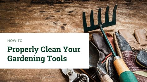 How To Properly Clean Your Gardening Tools Knollwood Garden Center