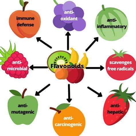 Whats So Great About Flavonoids Daily Harvest Express Blog