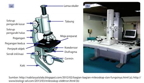 A Bagian Bagian Mikroskop