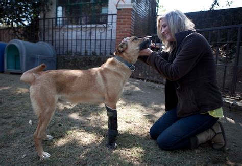 Milagros Caninos Sanctuary The Washington Post