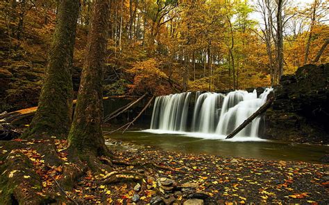 Its Almost Autumn In The Finger Lakes Again A Waterfall Off Of Cayuga