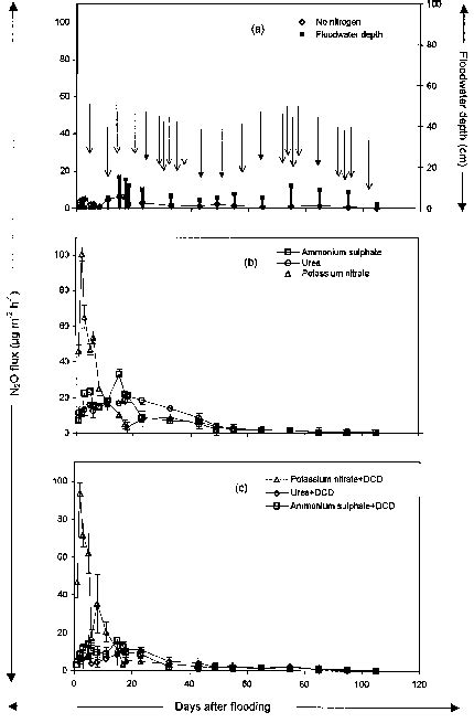 Nitrous Oxide Fluxes From An Irrigated Rice Field With A No Nitrogen