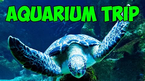 A Trip To The Public Aquarium Youtube