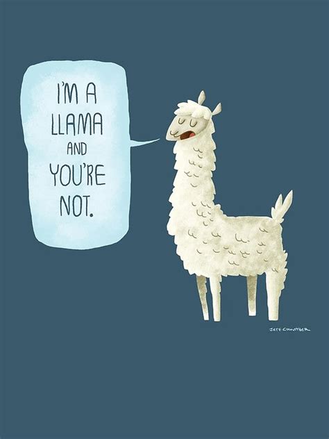 Funny Llama Wallpapers
