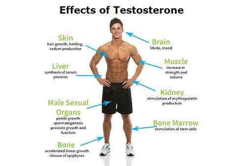 testosterone deficiency in men the public health impact low testosterone
