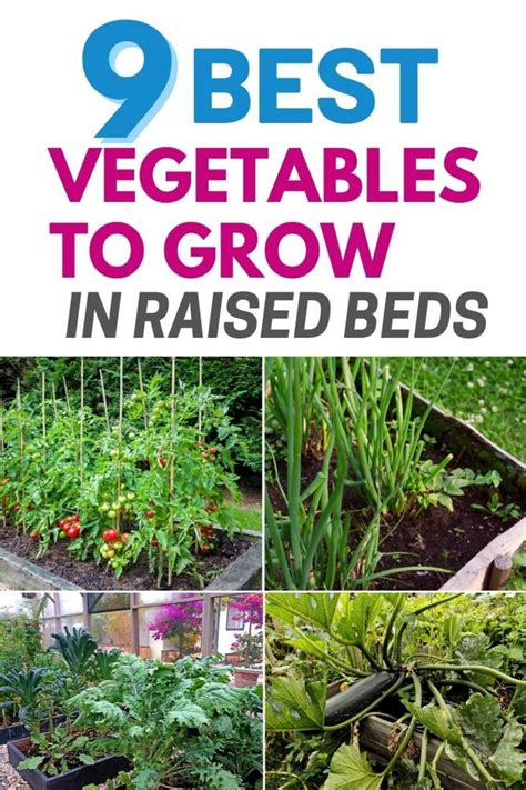 9 Best Vegetables To Grow In Raised Beds In 2021 Vegetable Garden