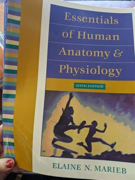 Essentials Of Human Anatomy And Physiology By Elaine N Marieb And