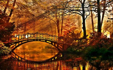 An Autumn Bridge In Sunbeams Rautumn
