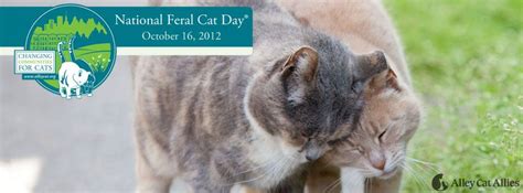 Feral Cat Day