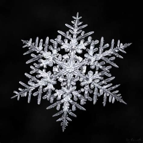 Found On Bing From Snowflake Photography Snowflake
