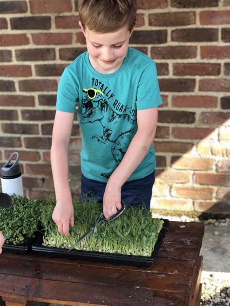 Grow your own | Eden Greens Urban Farm